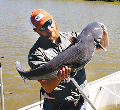 Invasive Blue catfish aimed – Urbanna SouthSide Sentinel